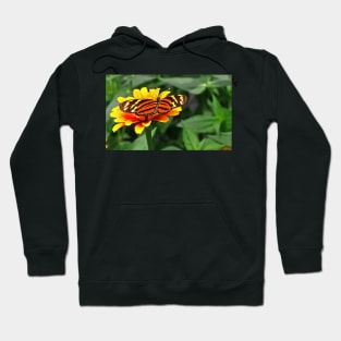 Isabella Tiger Hoodie